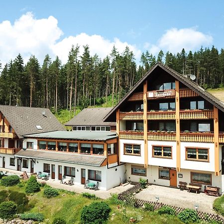 Auerhahn Bed And Breakfast - Black Forest - Waldhotel Eisenbach  Εξωτερικό φωτογραφία