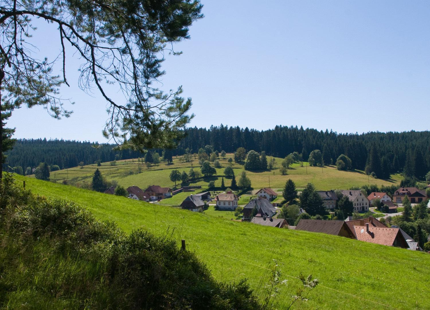 Auerhahn Bed And Breakfast - Black Forest - Waldhotel Eisenbach  Εξωτερικό φωτογραφία