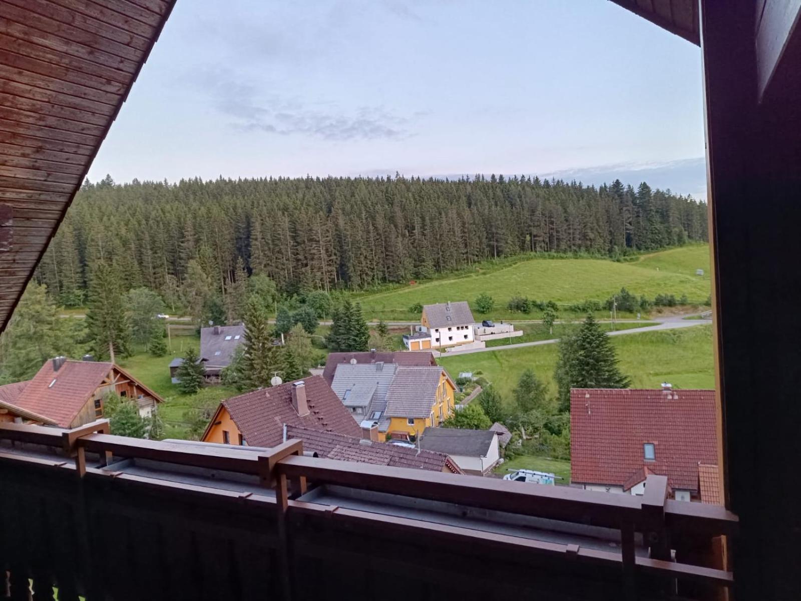 Auerhahn Bed And Breakfast - Black Forest - Waldhotel Eisenbach  Εξωτερικό φωτογραφία