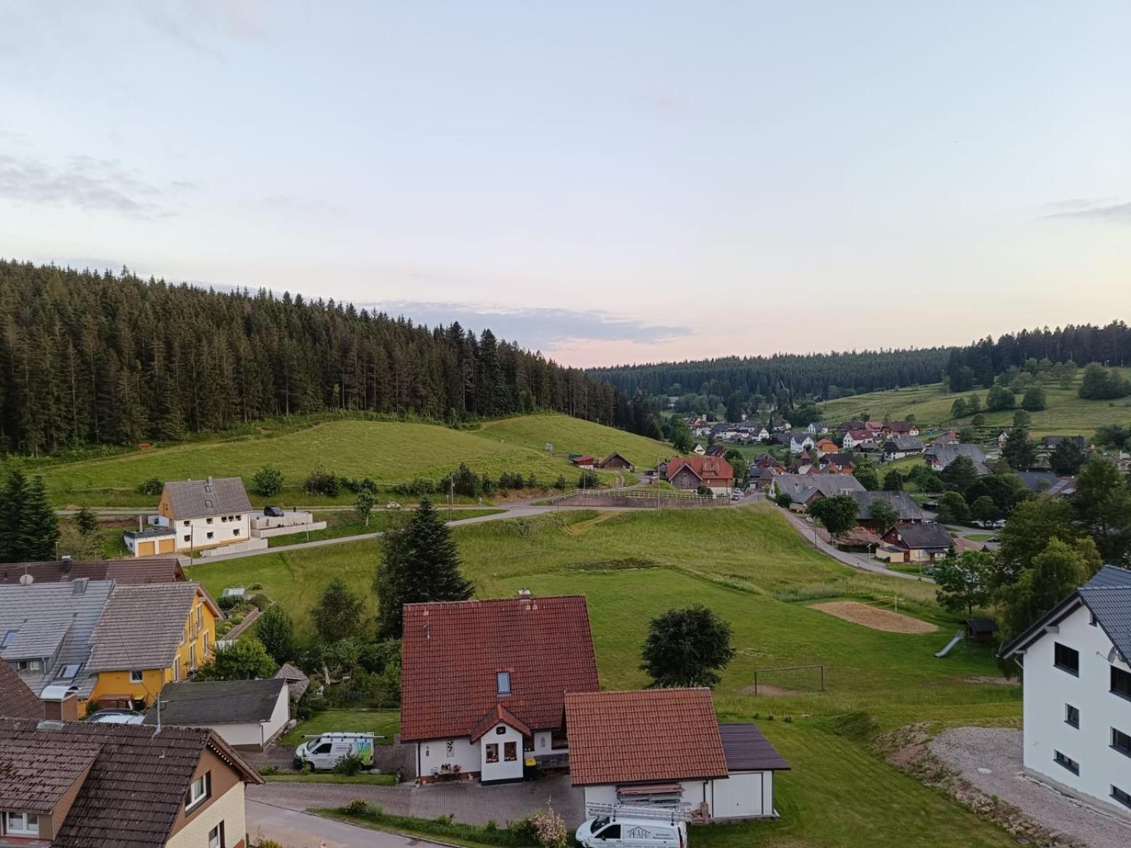 Auerhahn Bed And Breakfast - Black Forest - Waldhotel Eisenbach  Εξωτερικό φωτογραφία