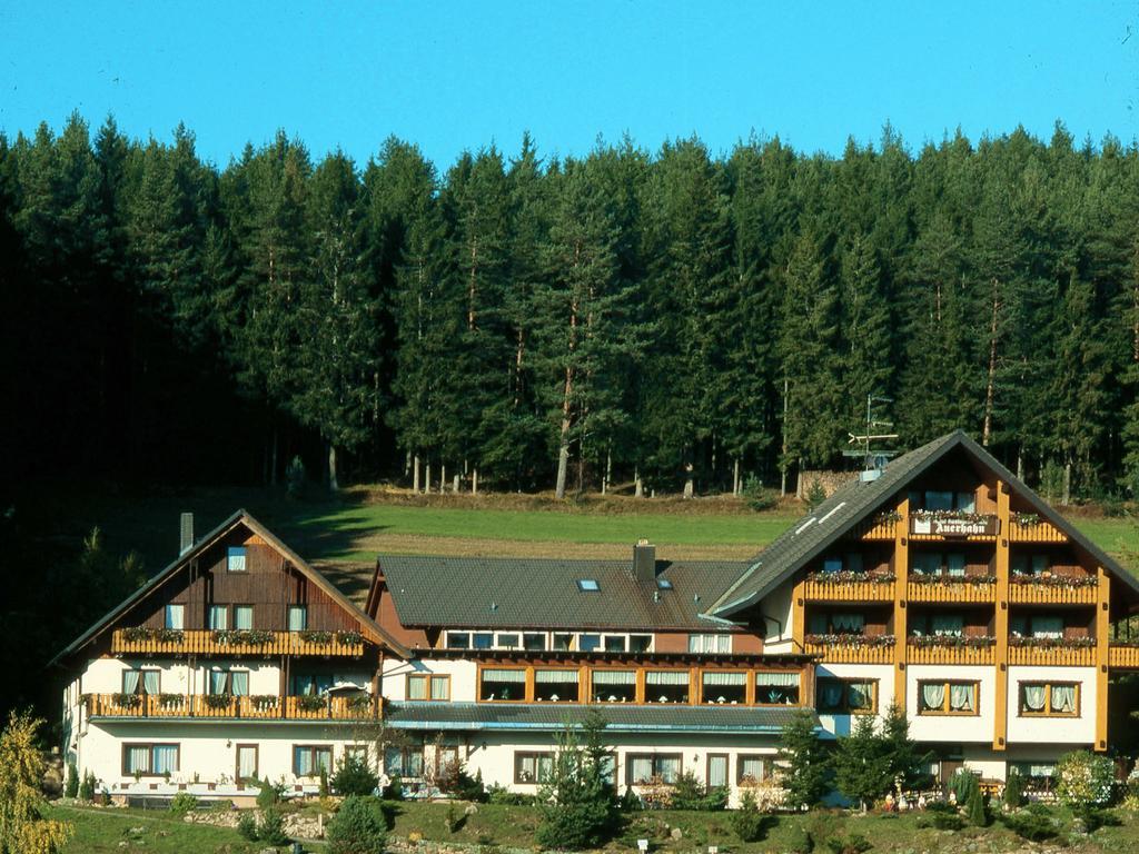 Auerhahn Bed And Breakfast - Black Forest - Waldhotel Eisenbach  Εξωτερικό φωτογραφία